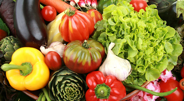 Marché du terroir septembre