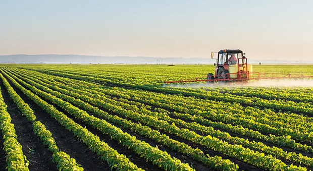 agri_p
