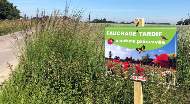 fauchage_p